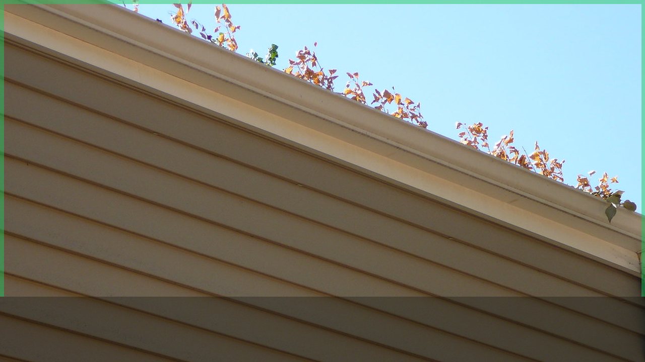 Gutters and home exterior checked before storm season