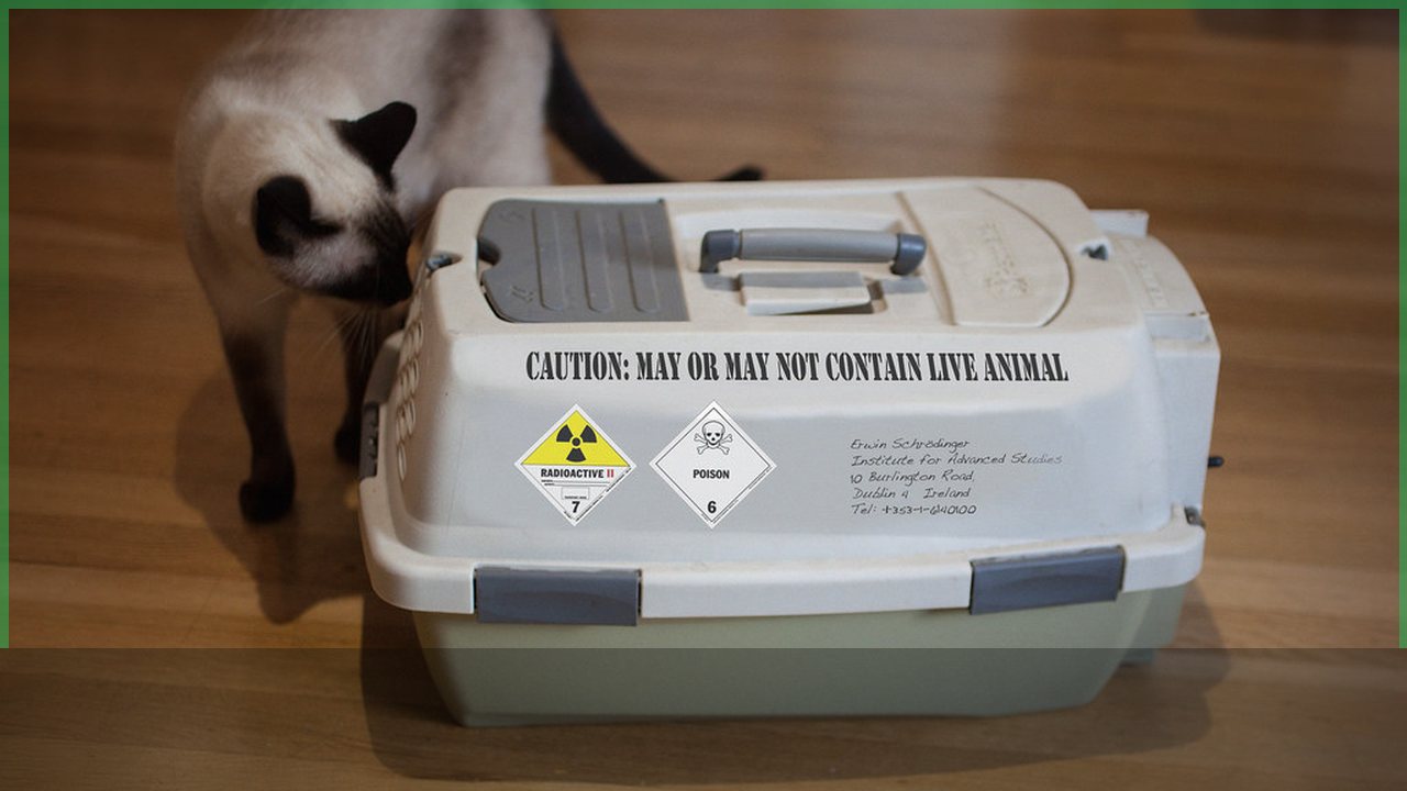 Cat carrier ready for storm and power outage safety