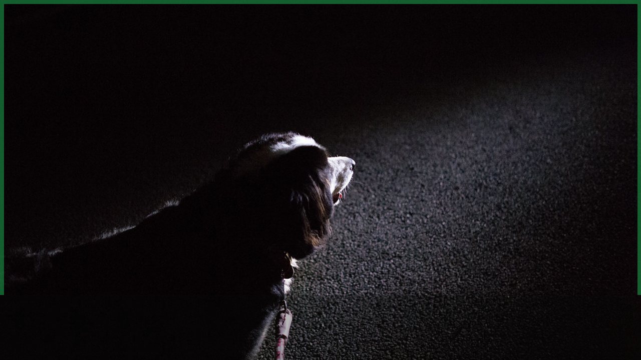 Child holding a flashlight during a calm blackout