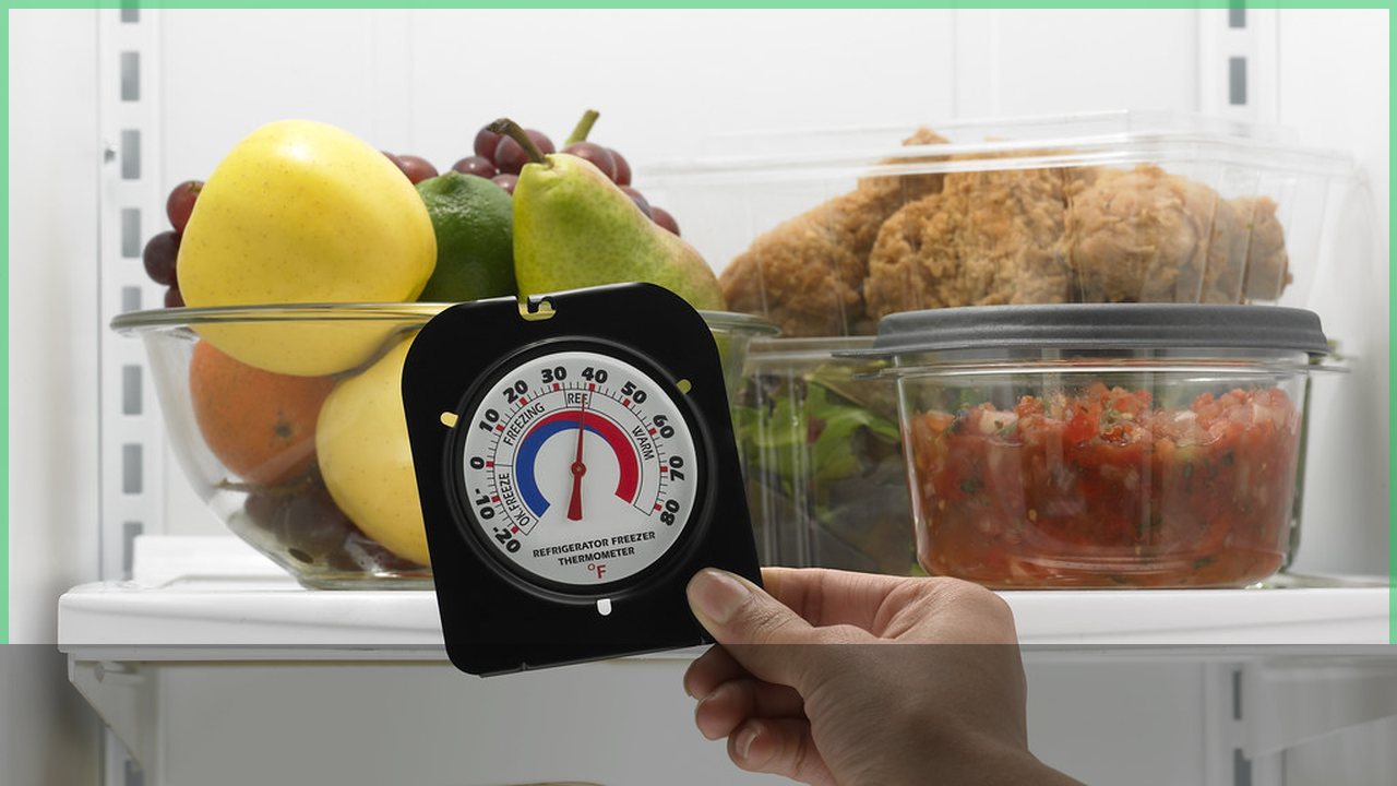 Refrigerator food and thermometer used during a power outage